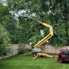 Nottingham, PA  Tree Services Company